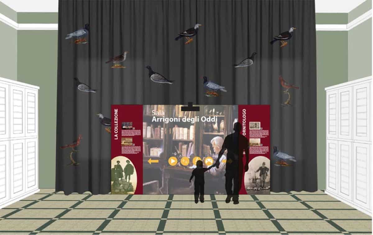 Display interattivo nella Sala Arrigoni del Museo Civico di Zoologia di Roma, con uccelli sospesi e silhouette di visitatori.